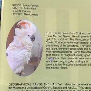 Meet your Posher, Geraldine